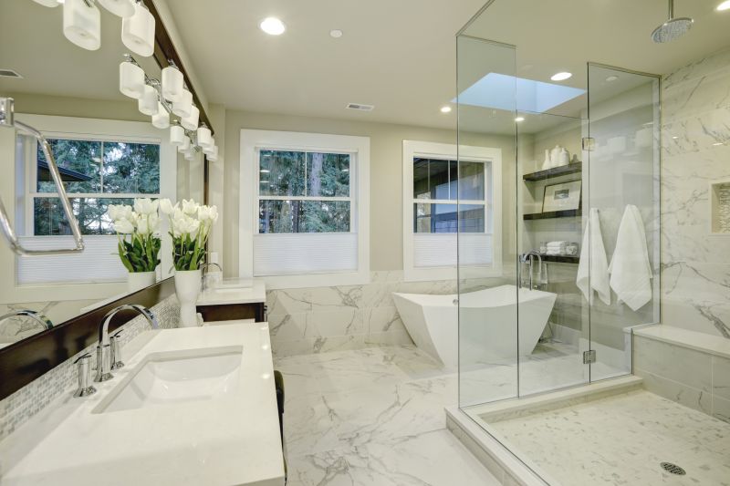 Top Shower Remodeling Companies in Bloomingdale, IL