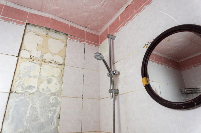Top Shower Remodeling Companies in Warrenville, IL