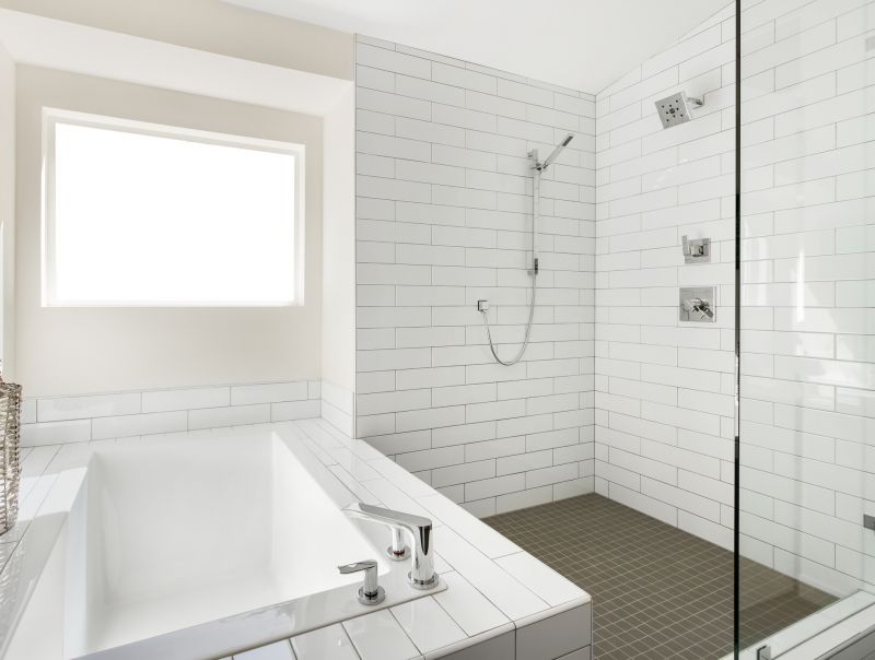 Top Tub To Shower Conversion Companies in West Chicago, IL
