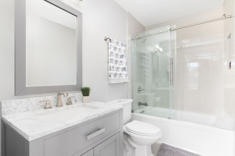 Top Tub To Shower Conversion Companies in Wheaton, IL