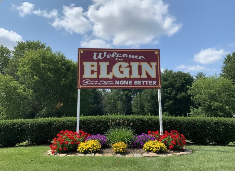 Best Tub To Shower Conversion pros in Elgin, IL