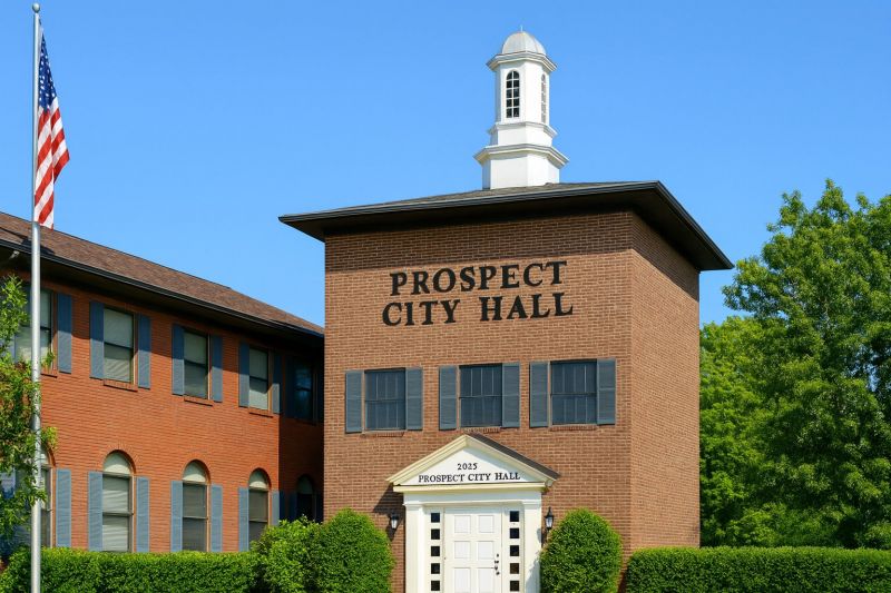 Best Tub To Shower Conversion pros in Mount Prospect, IL