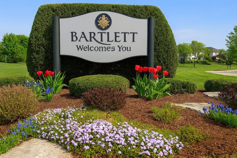 Best Tub To Shower Conversion pros in Bartlett, IL