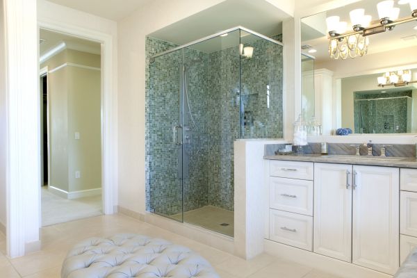 Shower Room Remodeling in Arlington Heights